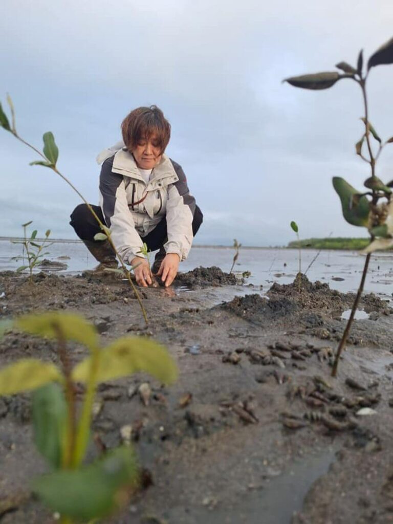 CSR: CENECO Conducts Mangrove Planting Activity